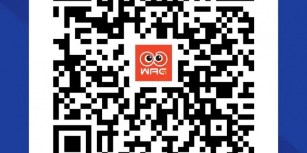 远征集结｜连续客战 致敬每一份相随